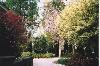 The Garden, Rose Hill Estate, Aiken — Rose Hill Estate's March