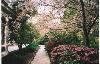 The Garden, Rose Hill Estate, Aiken — Rose Hill Estate's Terrace Walk