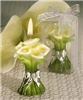 Cleo's White Moments, Orem