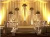 Cleo's White Moments, Orem