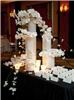 A Particular Event, Houston — White Wedding- Card Table