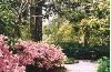 The Garden, Rose Hill Estate, Aiken — Rose Hill Estate Garden Statue