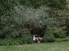 Gardens, Cheshire House Mansion, Brookhaven
