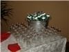 Evergreen Commons, Quality Inn & Suites Maine Evergreen Hotel, Augusta — Evergreen Commons.