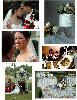 Gardens, Wild Acres Villa, Orange City — Weddings At Wild Acres