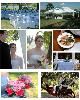 Gardens, Wild Acres Villa, Orange City — Weddings At wild Acres