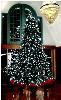 Wild Acres Villa, Wild Acres Villa, Orange City — CLEARING AND CONSULTANTS CHRISTMAS PARTY