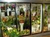 Always Blooming, Lake Worth — Same day delivery  of exotic & tropical flowers, economical to high end arrangements, blooming & green plants, gift & gourmet baskets, fruit baskets, balloon arrangements and more to Lake Worth Fl., Greenacres, Palm Springs, Manalapan, Boynton Beach, Lantana, Atlantis, Hypoluxo, Wellington, Palm Beach and surrounding areas.