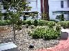 Courtyard Garden, The South Carolina Archives And History Center, Columbia — Walled Garden