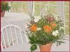 B&B Country Garden Inn, Apex
