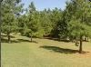 B&B Country Garden Inn, Apex — Welcome to B & B's Country Garden Inn! Enjoy the secluded country setting & still be within easy reach of all the city's conveniences & attractions!