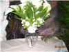 Mark It With a T, event planning and notary by tonya, Philadelphia