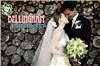Bellingham Wedding and Event Rentals