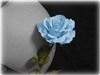 Arlene's Enchanting Portraits, Enfield — Maternity photos, to capture that special moment when life is just beginning