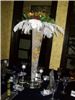 Annie's Orchids, Philadelphia — Ostrich feathers and orchids in a lighted vase