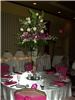 Annie's Orchids, Philadelphia — Tall centerpiece with lighted base.