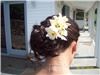 Annie's Orchids, Red Bank — Orchids in her hair...