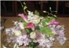 Annie's Orchids, Red Bank — Orchids, roses and calla lilies...pretty in pink!
