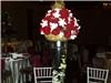 Annie's Orchids, Red Bank — Roses and Dendrobium orchids.