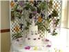 Annie's Orchids, Red Bank — Spectacular cake backdrop...
