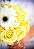 Click to see Profile