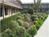 Knights Inn Pico Rivera, Pico Rivera