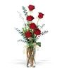 Hernando Flower Shop, Hernando