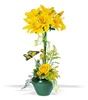 Hernando Flower Shop, Hernando