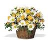 Hernando Flower Shop, Hernando