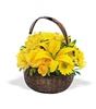 Hernando Flower Shop, Hernando