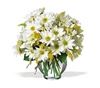 Hernando Flower Shop, Hernando