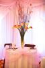Alpha & Omega Event Consultants & More, Jacksonville