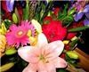 Cleveland Flowers, Cleveland