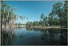 Grounds, Wynfield Plantation, Albany