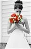 Jessica Painter Photography, Cohoes