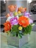Cachet Fiore