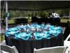 EMS Party Rentals LLC, Bastrop — Outdoor Wedding in Flatonia, Texas.