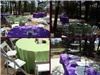 EMS Party Rentals LLC, Bastrop — Graduation Party, Cedar Creek, Texas.  Spun Polyester linens, tables, chairs, food display stands.