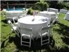 EMS Party Rentals LLC, Bastrop — Wedding in Smithville, Texas.  Tables, Chairs,Linens, and Live Cymbidium Orchid Centerpieces.