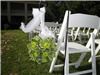 EMS Party Rentals LLC, Bastrop — Outdoor Wedding Ceremony, Smithville, Texas.
