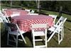 EMS Party Rentals LLC, Bastrop — Company gathering by the river, Bastrop, Texas.  They wanted the full look, with blue enamelware and red picnic check linens.  How cute!
