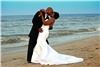 Forevermore Images-Virginia Beach, Virginia Beach