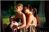 Birch Photographers, Sterling Heights