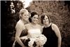 Birch Photographers, Sterling Heights