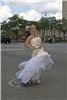 Birch Photographers, Sterling Heights