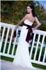 Birch Photographers, Sterling Heights