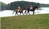 Little Mulberry Park, Auburn — Little Mulberry Park Equestrian Trails
