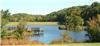 Little Mulberry Park, Auburn — Little Mulberry Park Lake