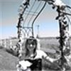 D BAR D Ranch Wedding Venue, Louisville — Scenic D BAR D Ranch offer a Wedding Arbor or a Tented Gazebo to host your ceremony. Your Professional Wedding Officiation is FREE when you book us as your venue.

Multiple pricing packages to fit your budget.