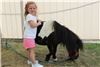 Honey Hill Farm 41018, Erlanger